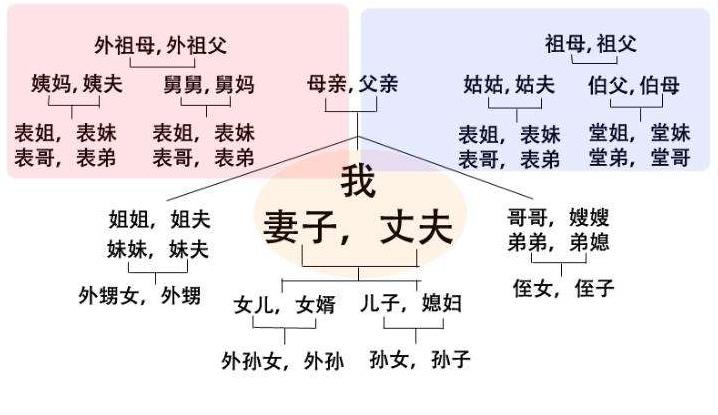 金枝面北眉南人物关系图片