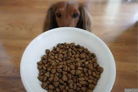 单词详解 | kibble - 知乎