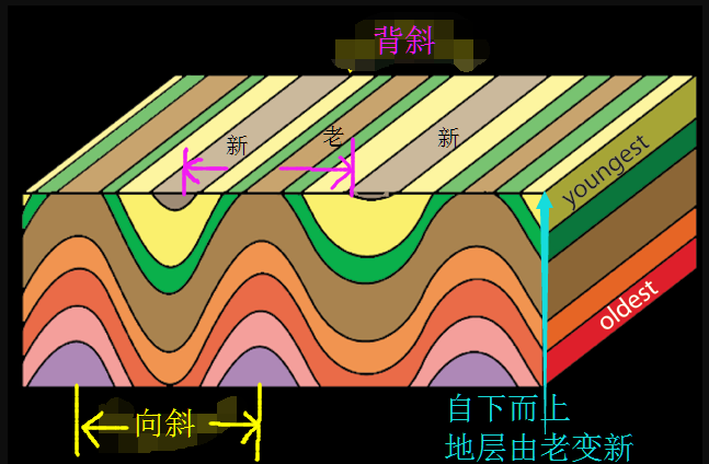 關於褶皺背斜與向斜經剝蝕後露出岩層新老的原理