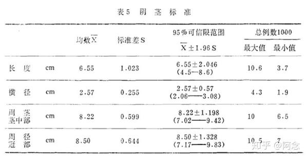 丁丁到底多长才算正常? - 知乎