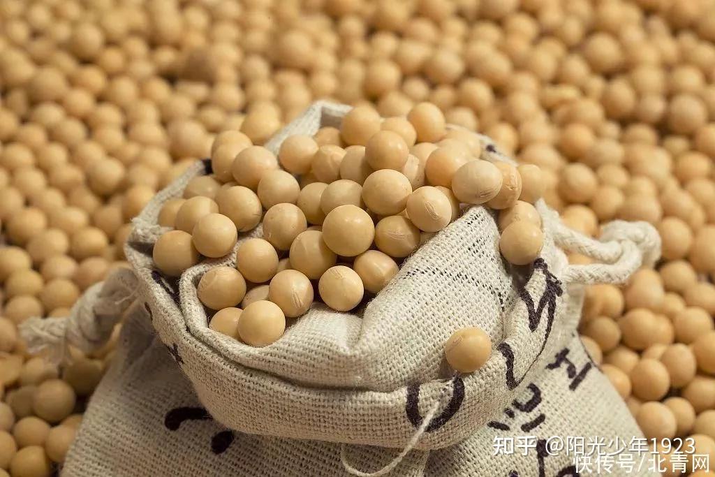 冬季进补,这4种豆子千万别错过!教你新吃法,健康美味 - 知乎