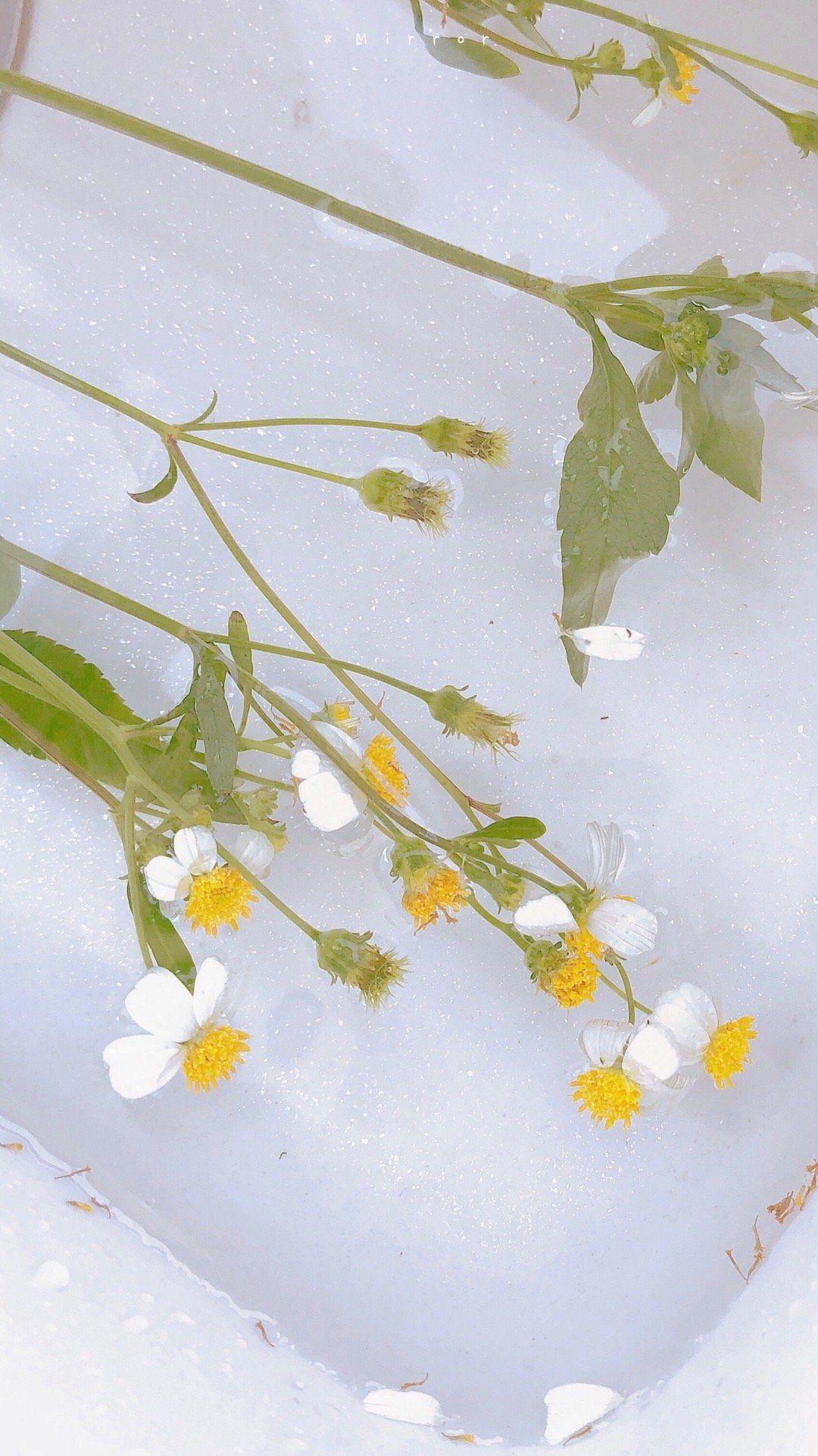 有什么美到极致的绿色壁纸?(绿色壁纸好看卡通动漫)