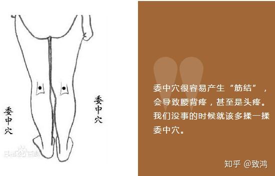 怎么站桩最舒服 v2-b35b56db2f80f5bd69ee6e31db0bdc2c_r.jpg