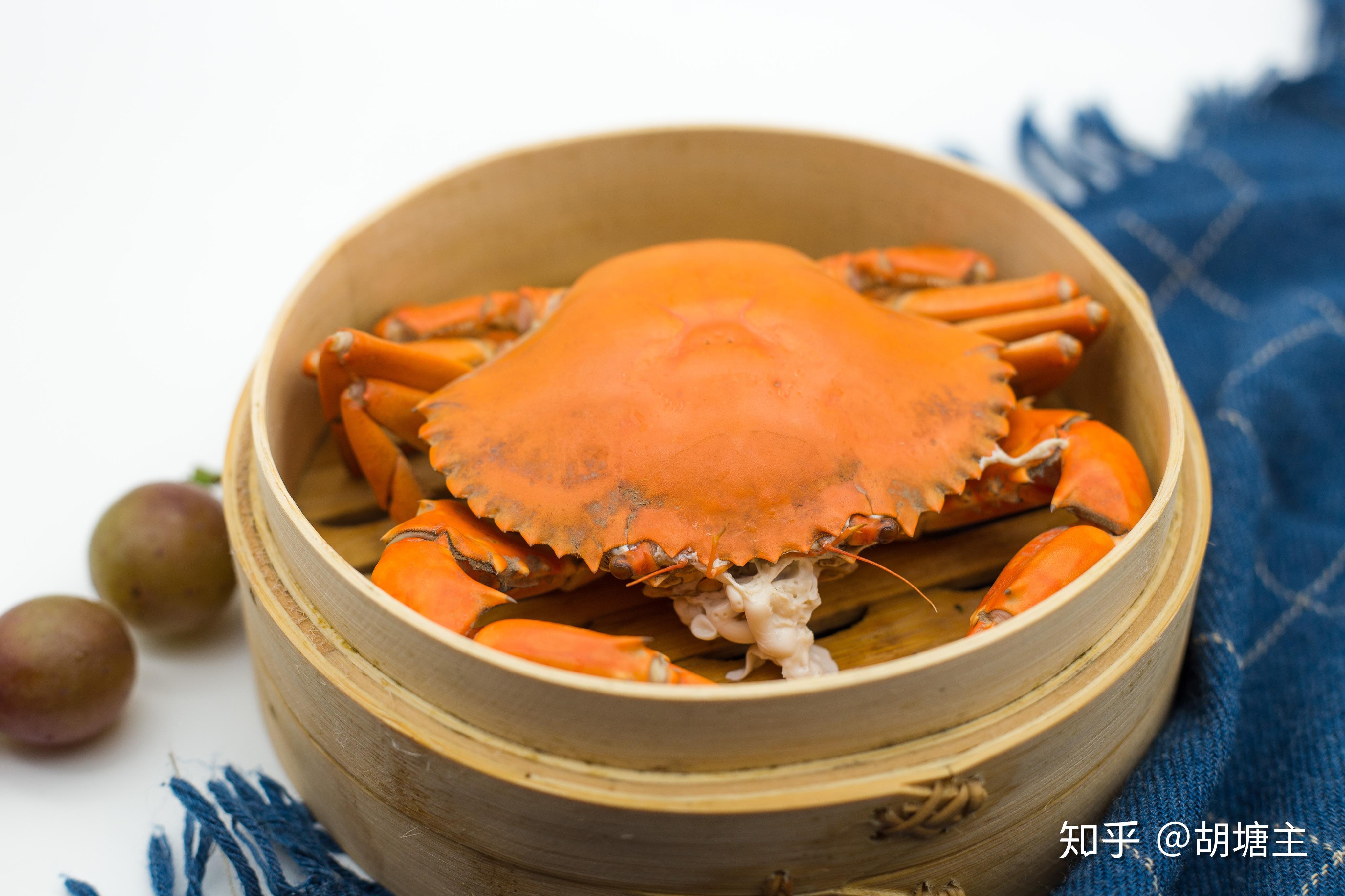 三门青蟹的二十五种烧法每日更新1