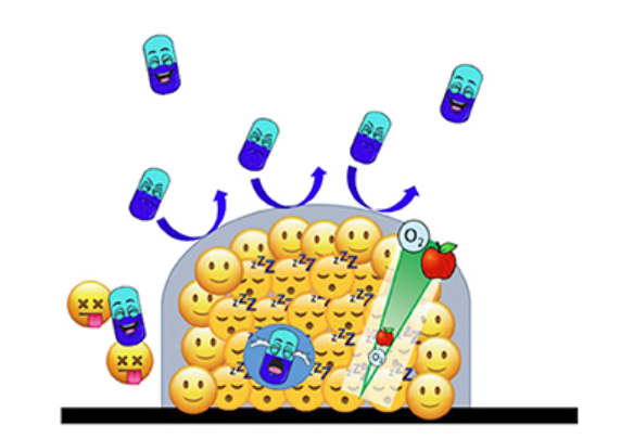 COMSTAT_ ImageJ插件教程翻译 - 知乎