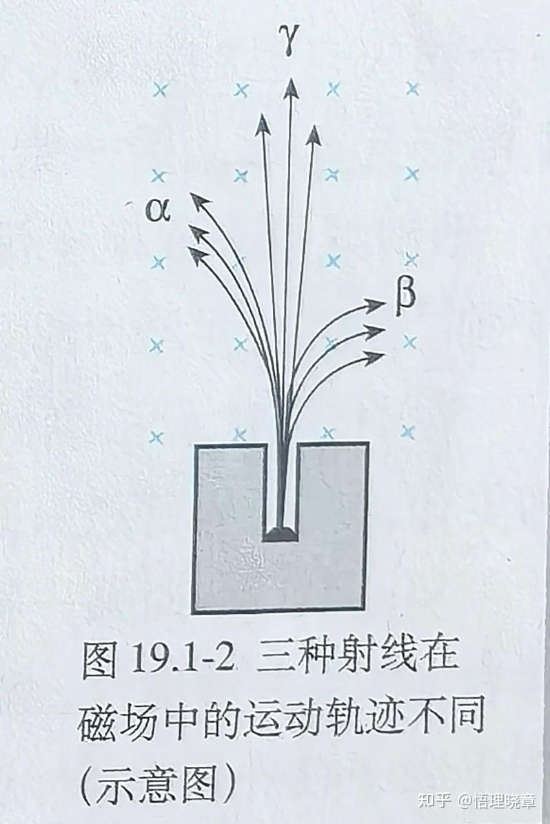 元素放射性,放射性射线,辐射这些词具体是什么意思?