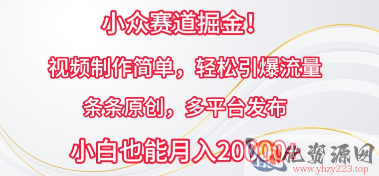 小众赛道掘金，视频制作简单，轻松引爆流量，条条原创，多平台发布【揭秘】