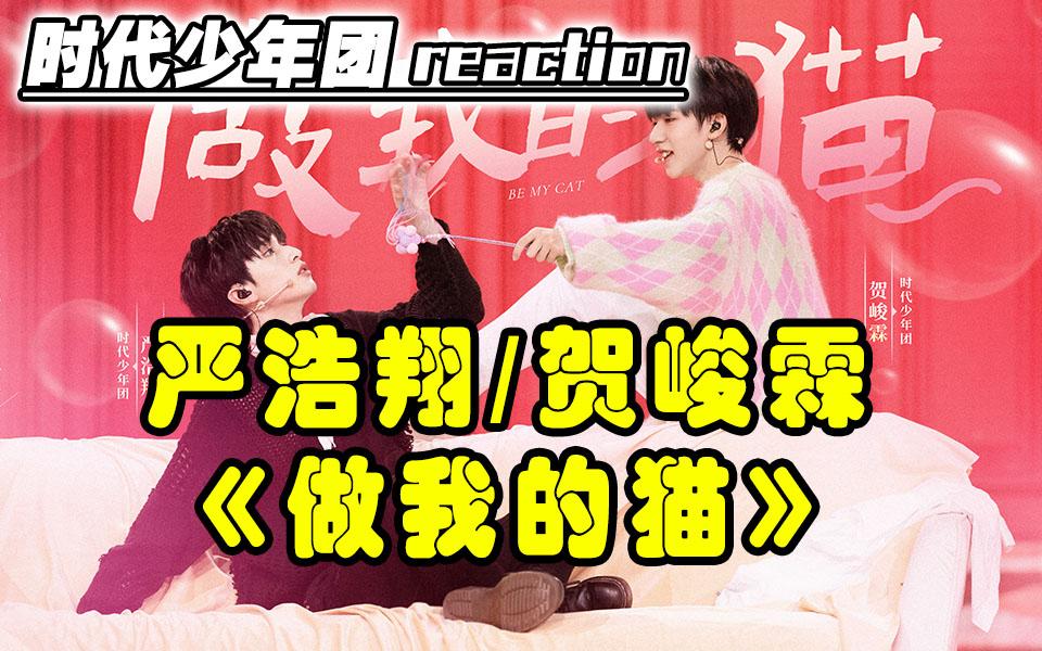 太甜了时代少年团做我的猫导演reaction