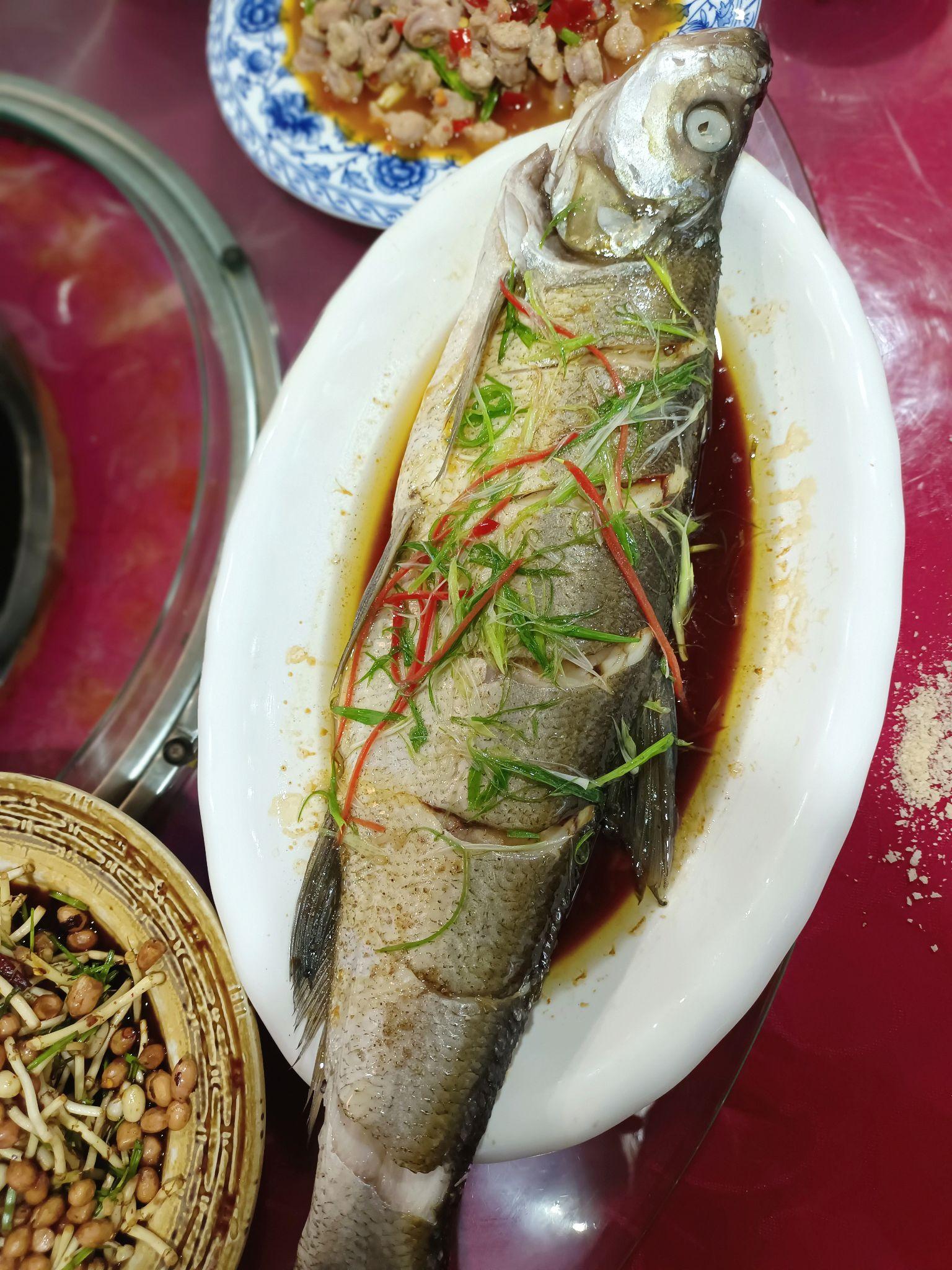 泰州这个基地，收藏了这么多种长江野生鱼类……_荔枝网新闻