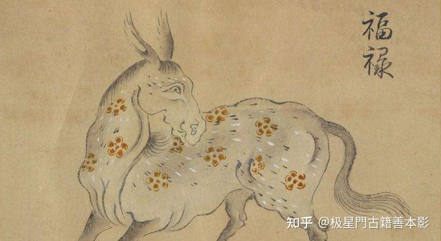 极星門古籍善本影印推荐~怪奇鸟兽图卷 - 知乎