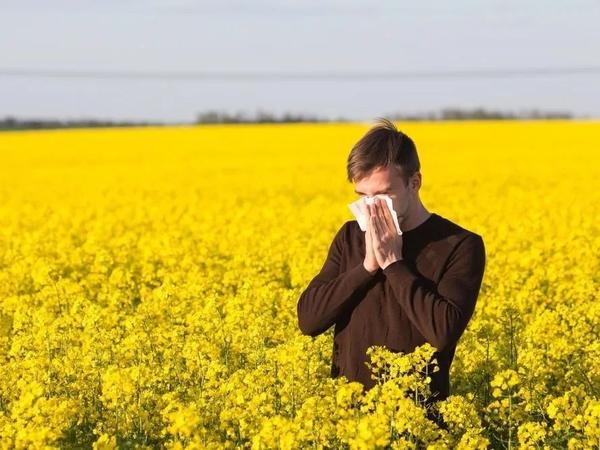 暗藏 致死量 花粉 这些看不见花的植物让数亿过敏者痛不欲生 知乎