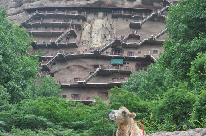 到甘肃省天水市旅行有哪些必去的特色人文自然景观