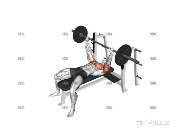 杠铃卧推的动作要领 - 知乎