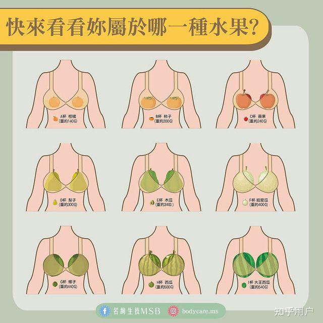 谁能给我形容一下c罩杯到底有多大?