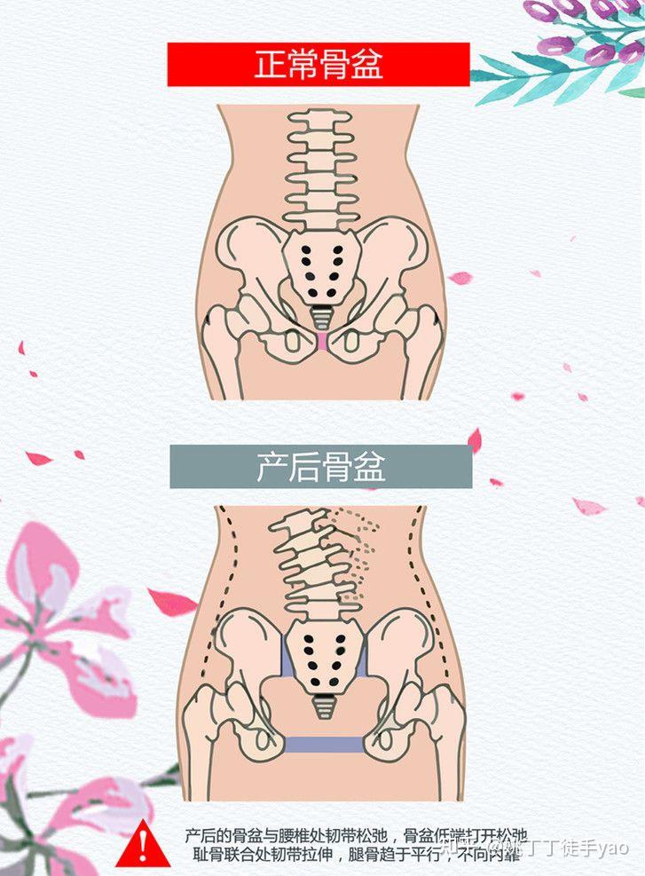 產後修復徒手塑形是什麼