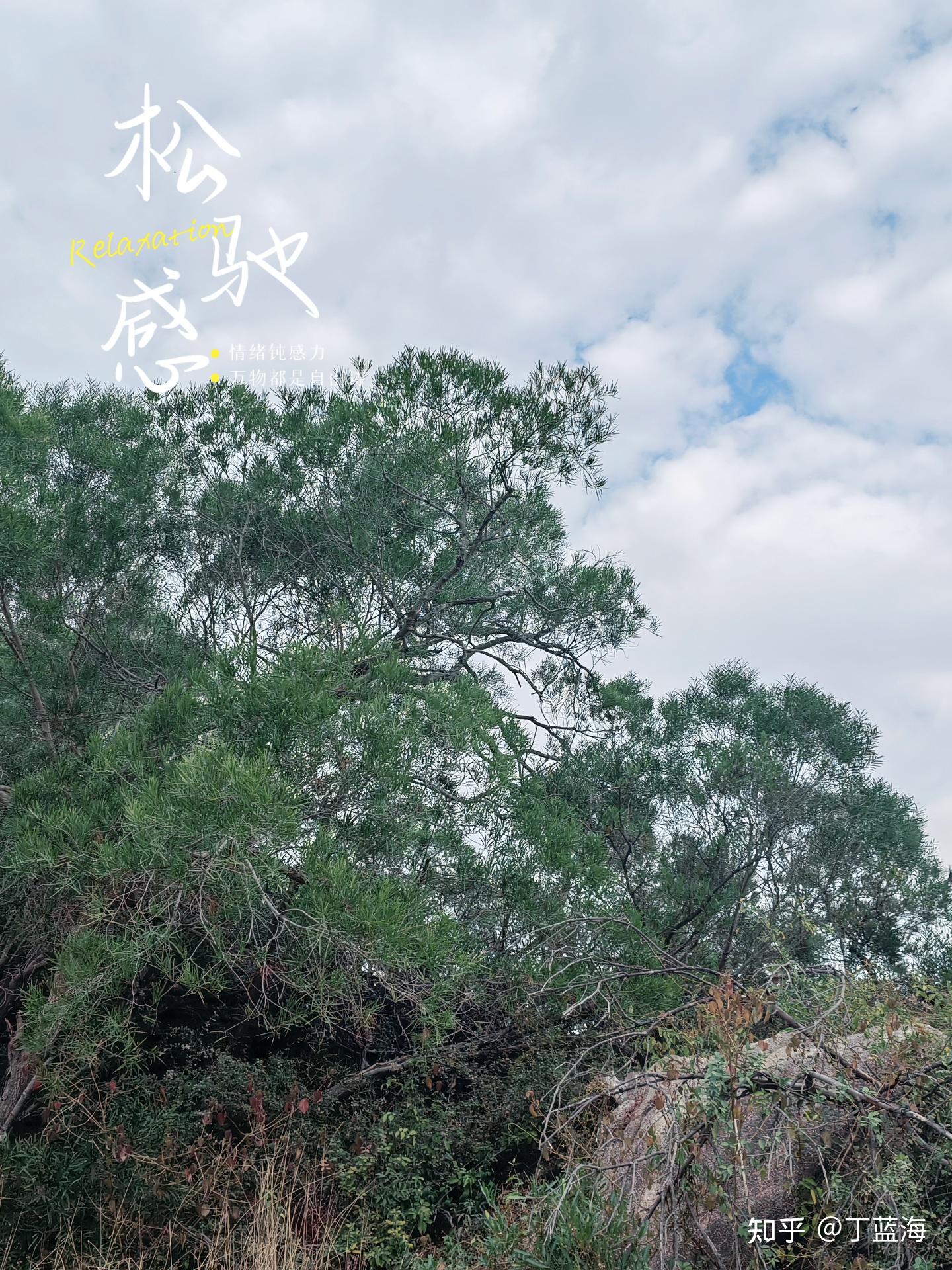 集中注意力的方法有哪些？ - 知乎