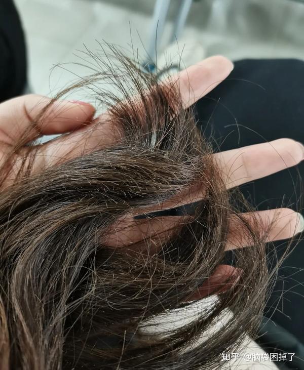 油性发质,但是头发发梢特别干,特别容易打结,有没有什么适合油头用的