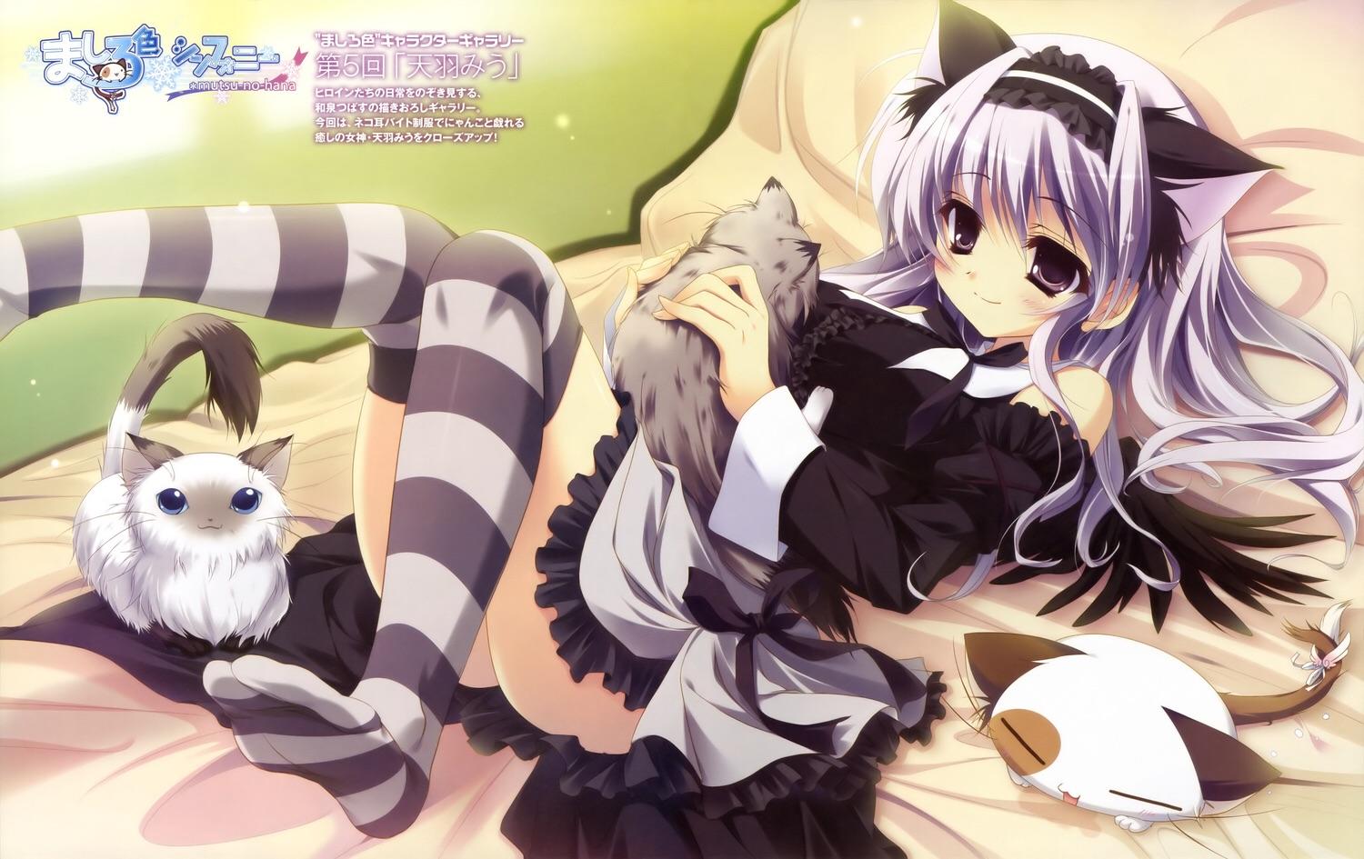 有哪些画风极其精美的galgame