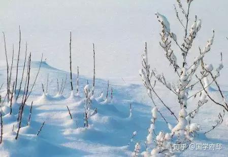 v2-b3b8b7be91d061781935d533e65392d8_r.jpg