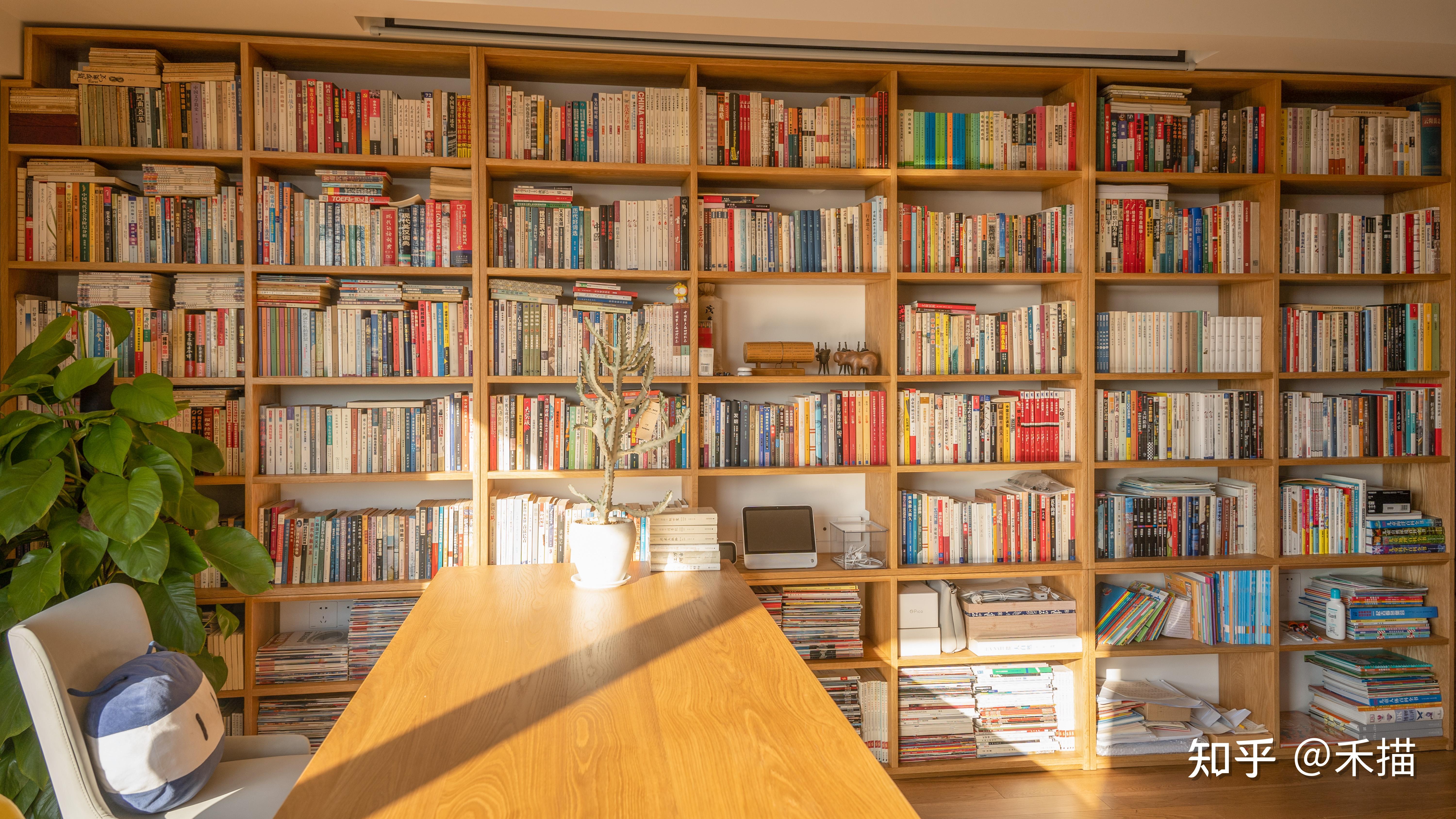 如果把客厅作为大书房,如何装修设计能同时满足「阅读,办公和会客」