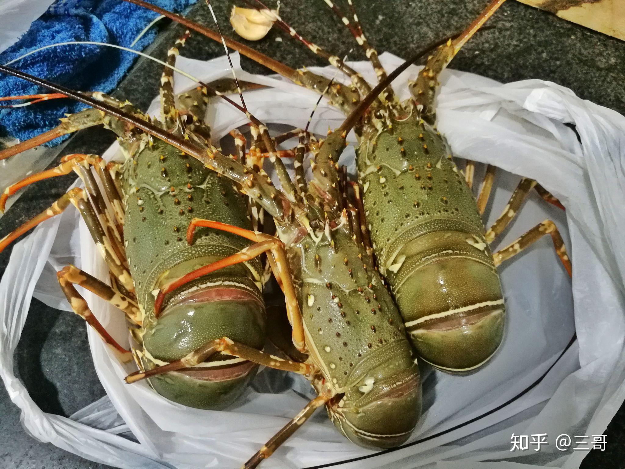 缅甸丹老群岛风景照