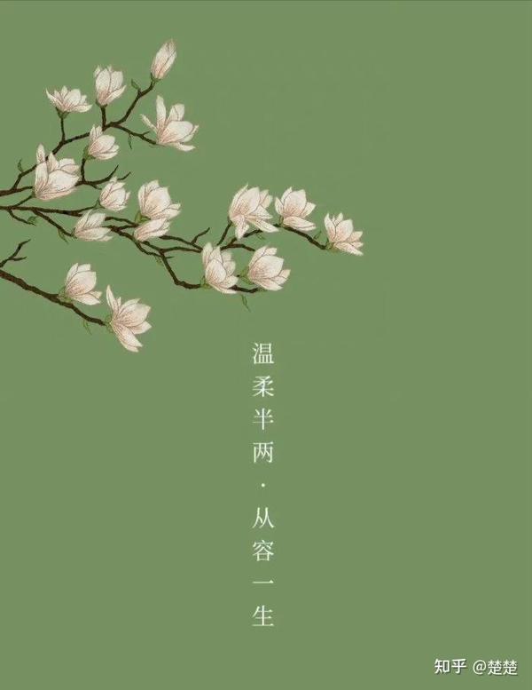 一些淡然从容的诗句 - 知乎