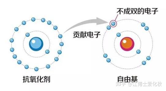 v2-b3db779e1680ad78eacd276ab8d9b3dc_r.jpg
