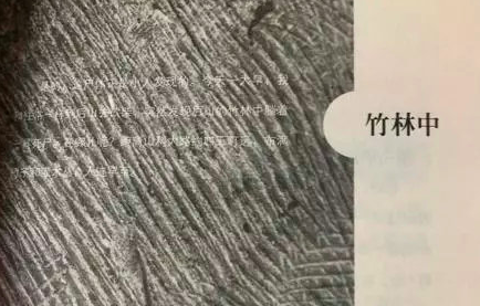 《竹林中》:人生,比地狱还像地狱 - 知乎