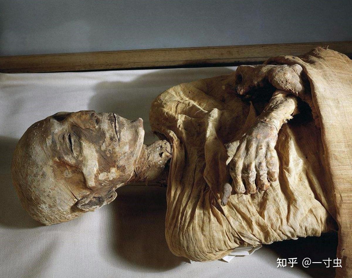 死亡微笑为什么不被淘汰