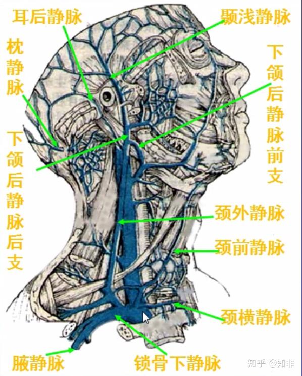 陌生人可以推荐一本你最近读的书吗