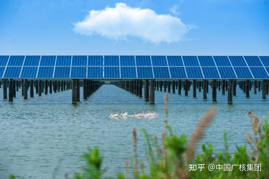 什么是渔光互补电站