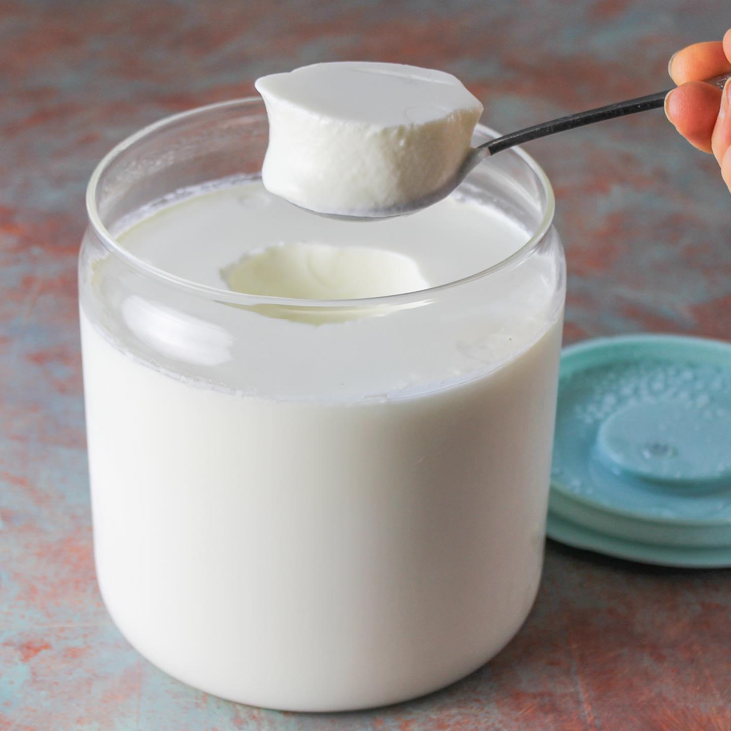 凝固型酸奶的代表有,加拿大优古母酸奶.