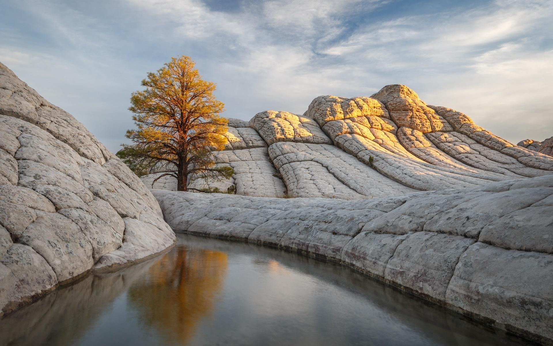 有哪些让人很舒服又不单调的电脑壁纸?