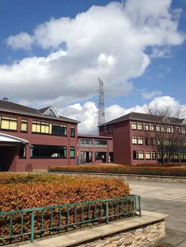 高中棒球选手通过运动员入试考入立教大学