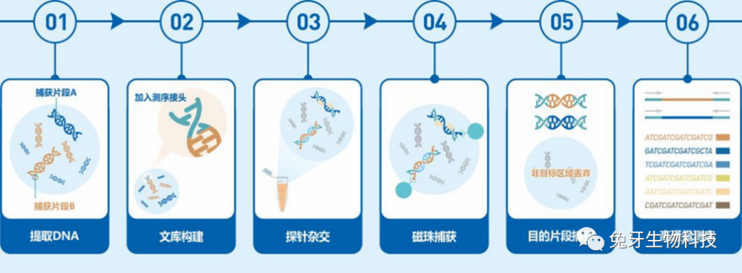 高通量測序ngs應用科普