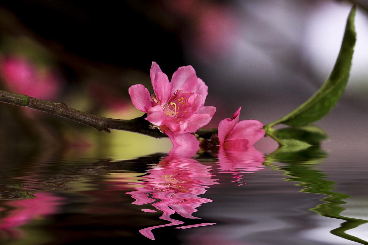 学校用地多少钱一亩