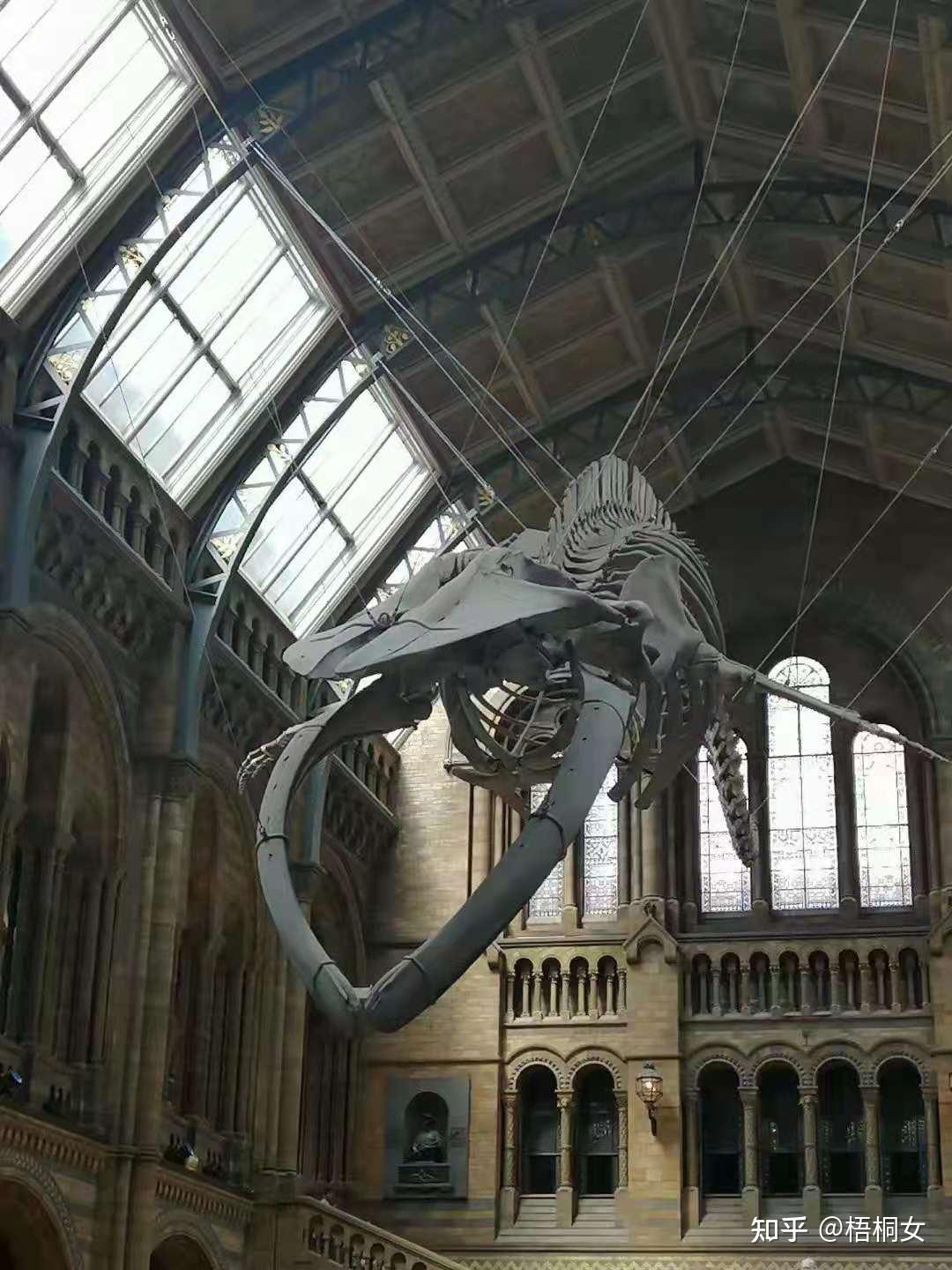 奇妙博物馆之旅十