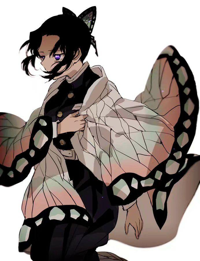 鬼灭之刃/虫柱/蝴蝶忍/头像/壁纸 - 知乎