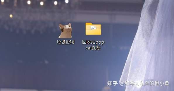 超有趣!如何把Pop Cat作为我的回收站图标 - 知乎