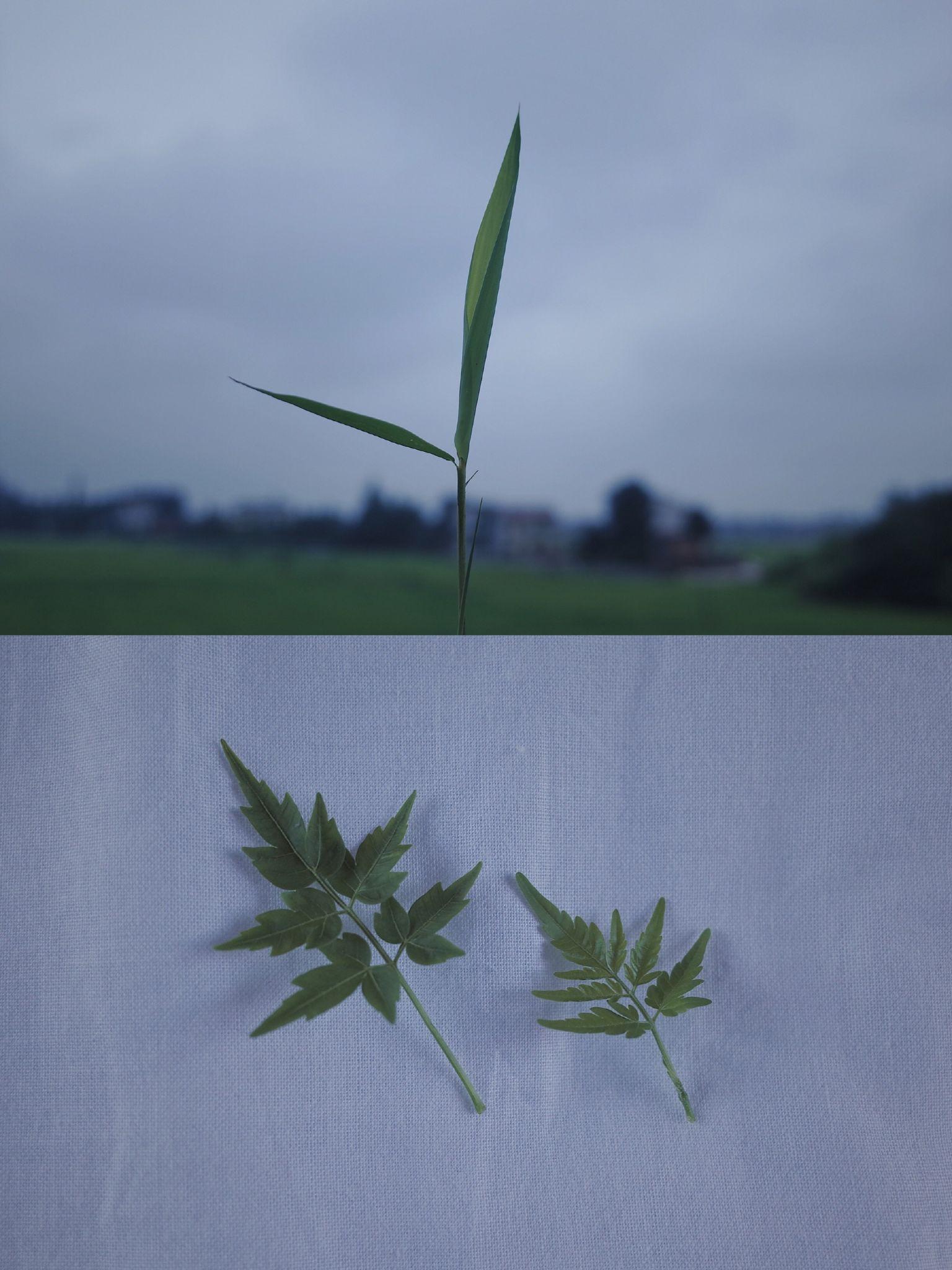 你用过哪些有趣或有意义的微信朋友圈背景图? - 知乎