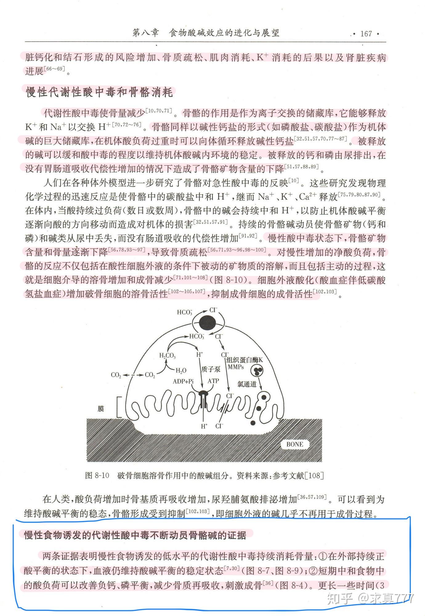 v2-b44e39ac5e5622b32a34706e4e1dcc04_r.jpg