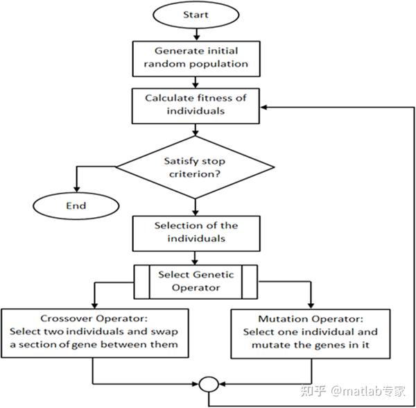 遗传算法流程图