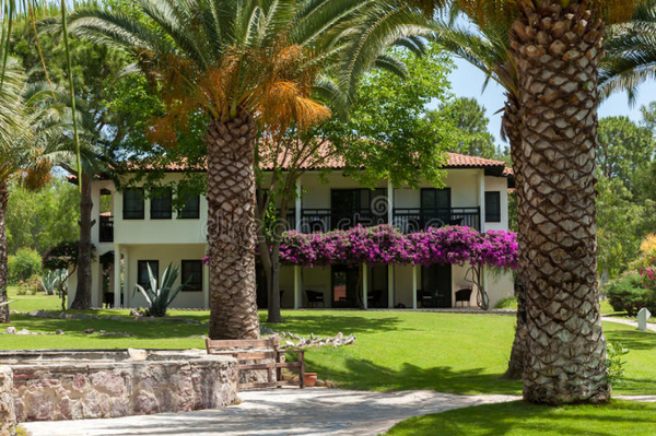 庭院中常见的几种镇宅树 知乎