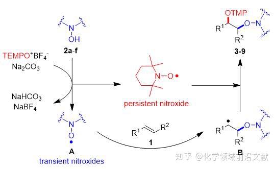 安陽師範學院陳斐團隊orglett利用氮氧自由基的活性差異實現烯烴的