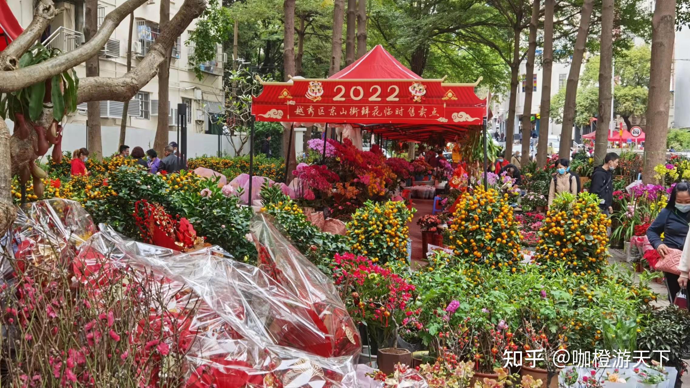 广州春节花市2022图片