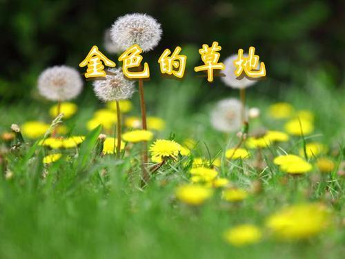 v2-b46ead9cee3caefd69d283ca20dbdc18_1200x500.jpg