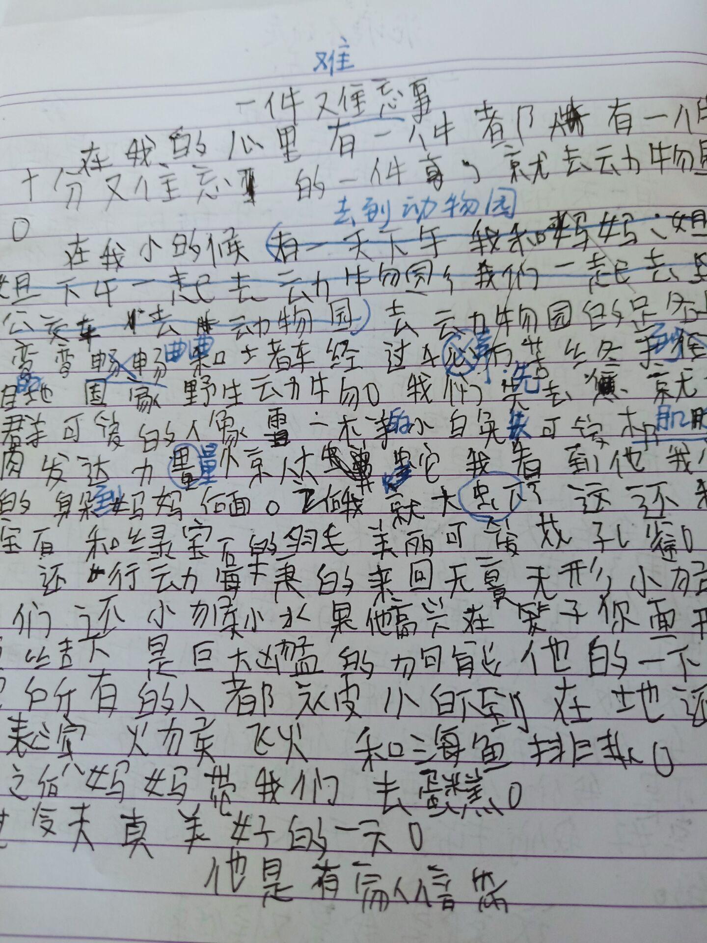 小白兔好简谱_小白兔简谱(3)