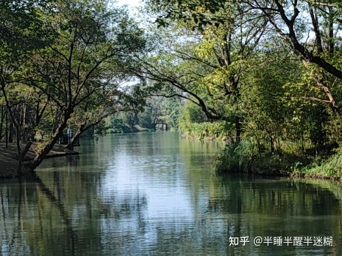 遊西溪溼地——深潭口 - 知乎