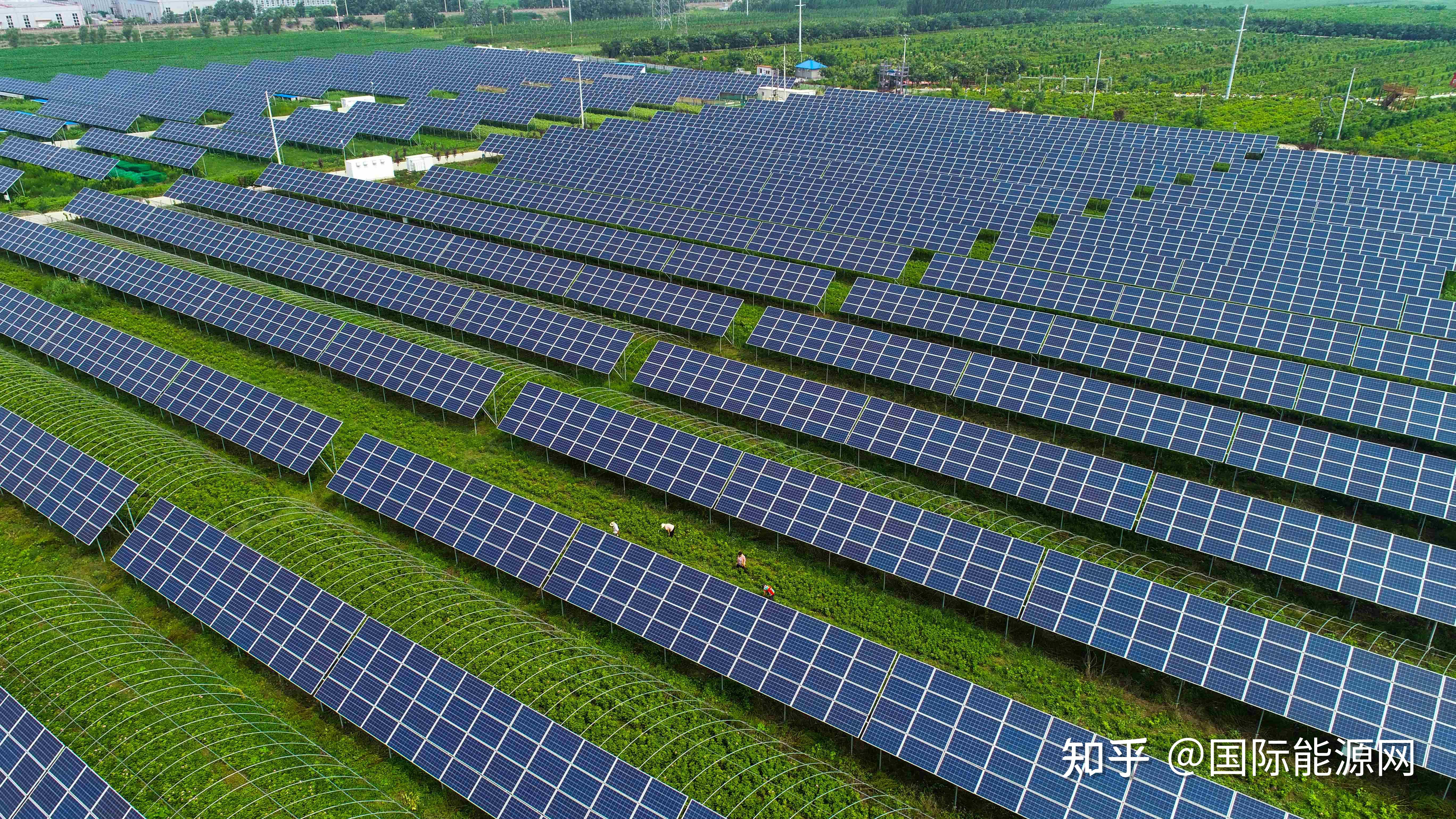 光伏装机占比超14产值目标2500亿浙江光伏何以狂飙