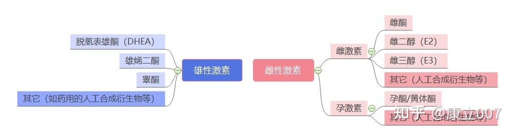 女性体内的雄性激素由什么器官分泌